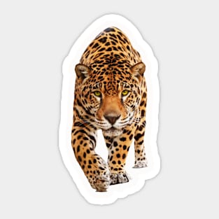 Jaguar Sticker